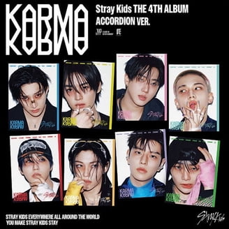 Stray Kids in K-Pop - Walmart.com
