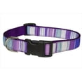 thumbnail image 1 of STRIPE-PURPLE-MULTI2-C Stripe Dog Collar, Purple - Small, 1 of 1