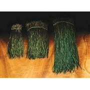 STRUNG PEACOCK HERL 5-7" Large - by Hareline Dubbin - Fly Tying