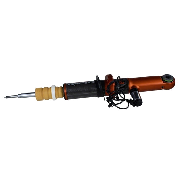 STRUT-SUSPENSION (P)