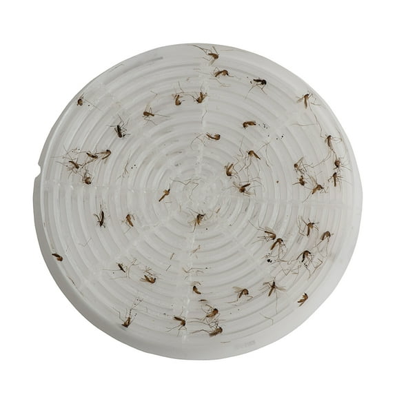 STUCK Pro AGO Mosquito Trap Sticky Screen Refills, 2-Pack