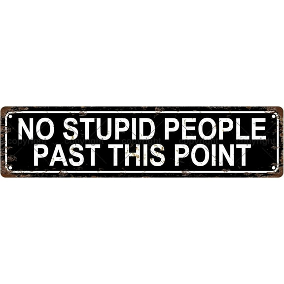 NO STUPID PEOPLE PAST THIS POINT Warning Vintage Metal Tin Street Sign Bar Cafe Garage Cave Home Room Wall Bathroom Farmhouse Garden Porch Patio Decor, 16 x 4 Inch
