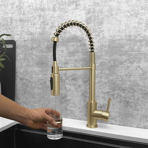 Stylish 20" Ht Single Handle Brushed Gold Pull Down Kitchen Faucet with Water Filter K-107GR