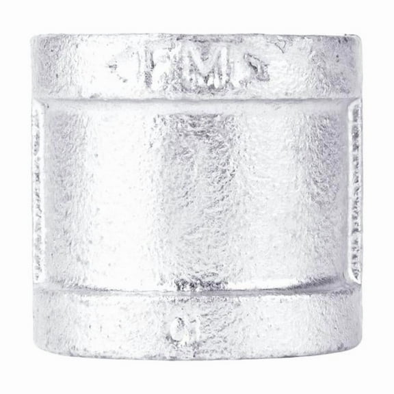 STZ Industries 2 in. FIP each X 2 in. D FIP Galvanized Malleable Iron Coupling