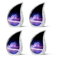 thumbnail image 1 of SUBSH Energetic Light Surfing - Cremation Urn - Cremation Urns For Ashes For Women - Urns For Adult Male - Pack Of 4 - Urn For Ashes Adult Male - Urns For Human Ashes Adult Female, 1 of 2