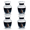 thumbnail image 1 of SUBSH Stargazer's Pet Urn Cat Urns for Ashes - Memorial Keepsakes for Ashes - Keepsake Mini Urns - Ashes Urns Human Remains - Funeral Cremation Urns for Ashes (Size - 3inch,4pcs) -, 1 of 2