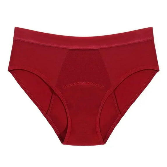 SUCS Leak Proof Menstrual Period Panties Women Underwear Physiological Pants Four-layer Bamboo Fiber Leakproof Women Period Underwear