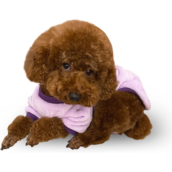 SUCS Puppy Dog Clothes Winter Sweater Warm, Flannel Velvet Pet Cat Cute Fruit Fleece Teddy Bichon Pomeranian Small Dog, Ideal Gift for Pet on Christmas (Medium, Strawberry)