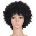 thumbnail image 1 of SUCS Wigs Black Synthetic Curly Wigs for Women Short Wig African American Natural Black, 1 of 6