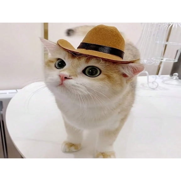 SUGARMOM 1pc Cat Cowboy Hat Pet Headwear Photography Prop For Small Dogs And Cats