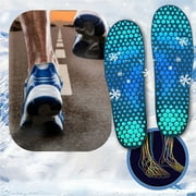 SUMDUINO Anions Insole Plant Care Ice Silk Insole Breathable Soles Magnetic Massaging Insole,Body Care