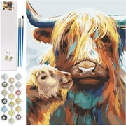 SUMGAR American Flag Paint by Numbers Kit for Adults Bald Eagle Colorful Animal DIY Paintworks Acrylic Artwork Craft for Home Decor Without Frame, 16x20 Inch