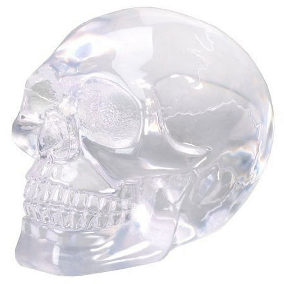 SUMMIT BY WHITE MOUNTAIN Small Clear Translucent Skull Collectible Figurine