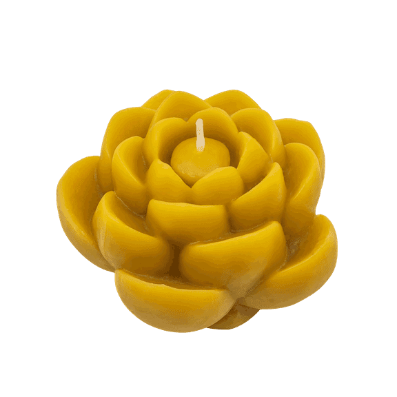 SUNBEAM CANDLES Lotus Flower Beeswax Candle, 1 EA