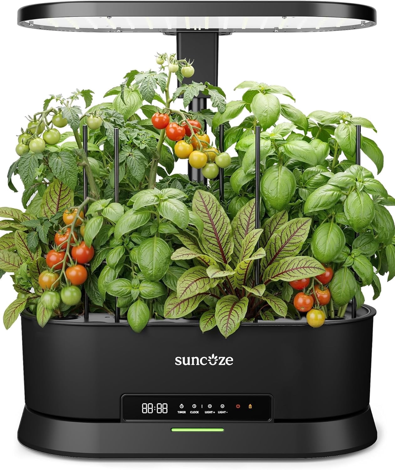 SUNCOZE Hydroponics Growing System Kit with Split Tank, 12 Pods Indoor ...