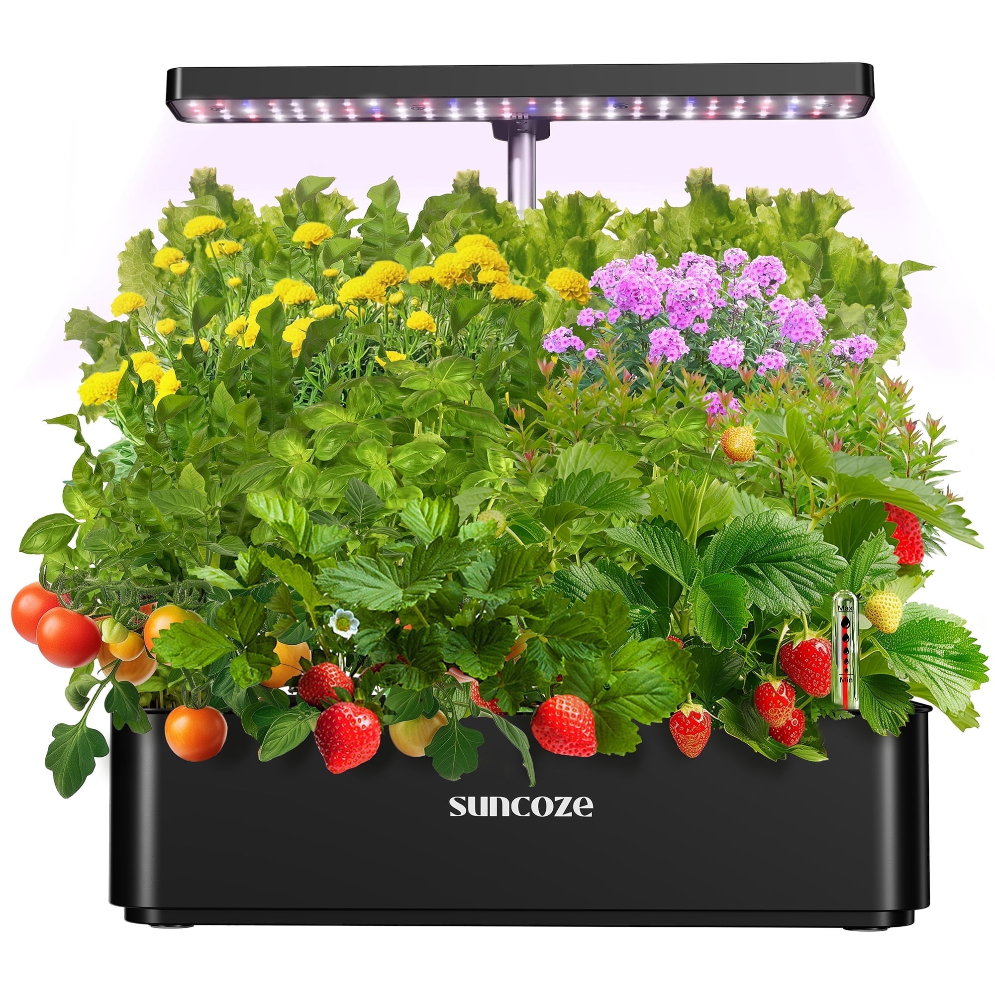 SUNCOZE Hydroponic Growing System Indoor Herb Garden with 12 Pods, Full ...