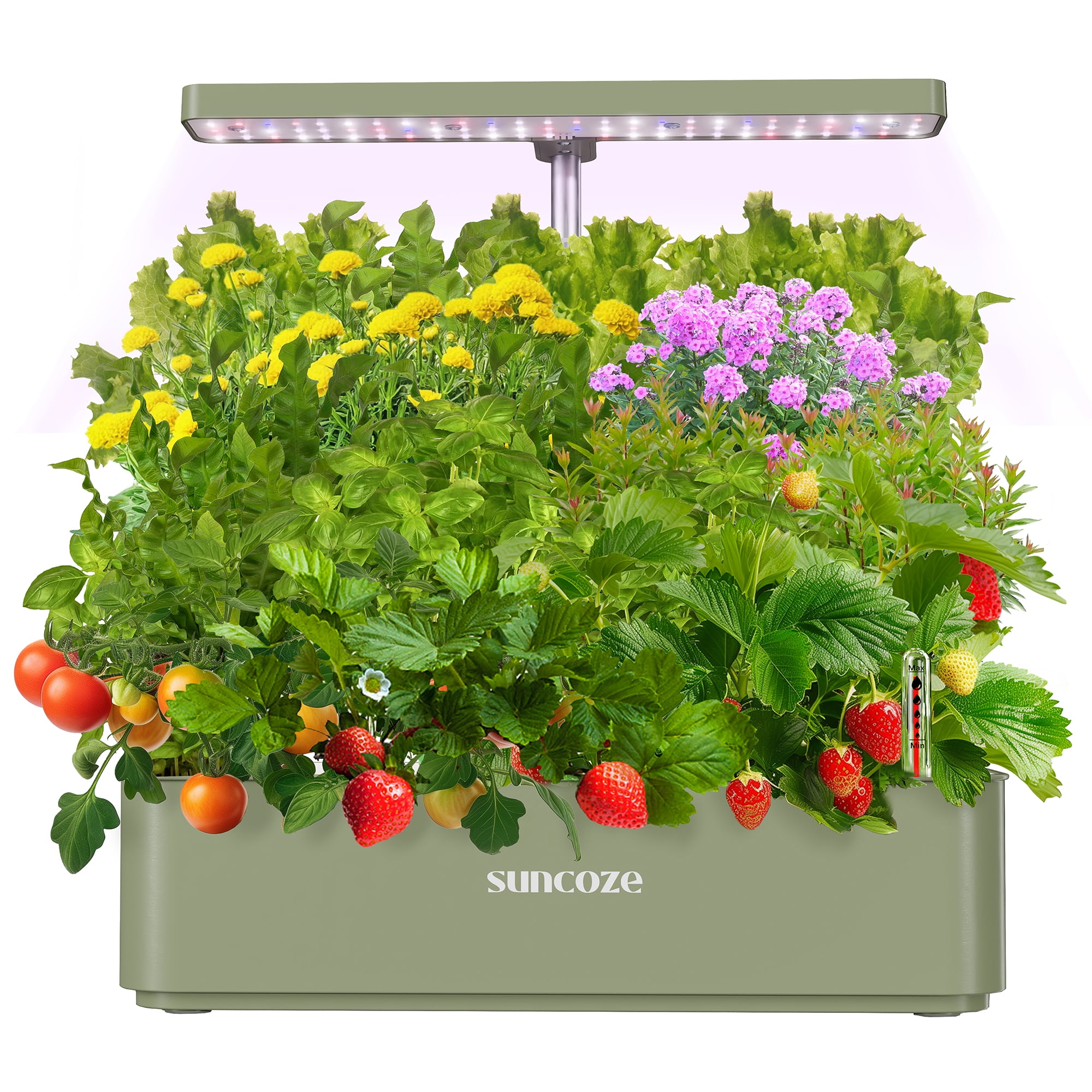 SUNCOZE 12 Pods Indoor Hydroponic Growing System, Herb Garden Kit