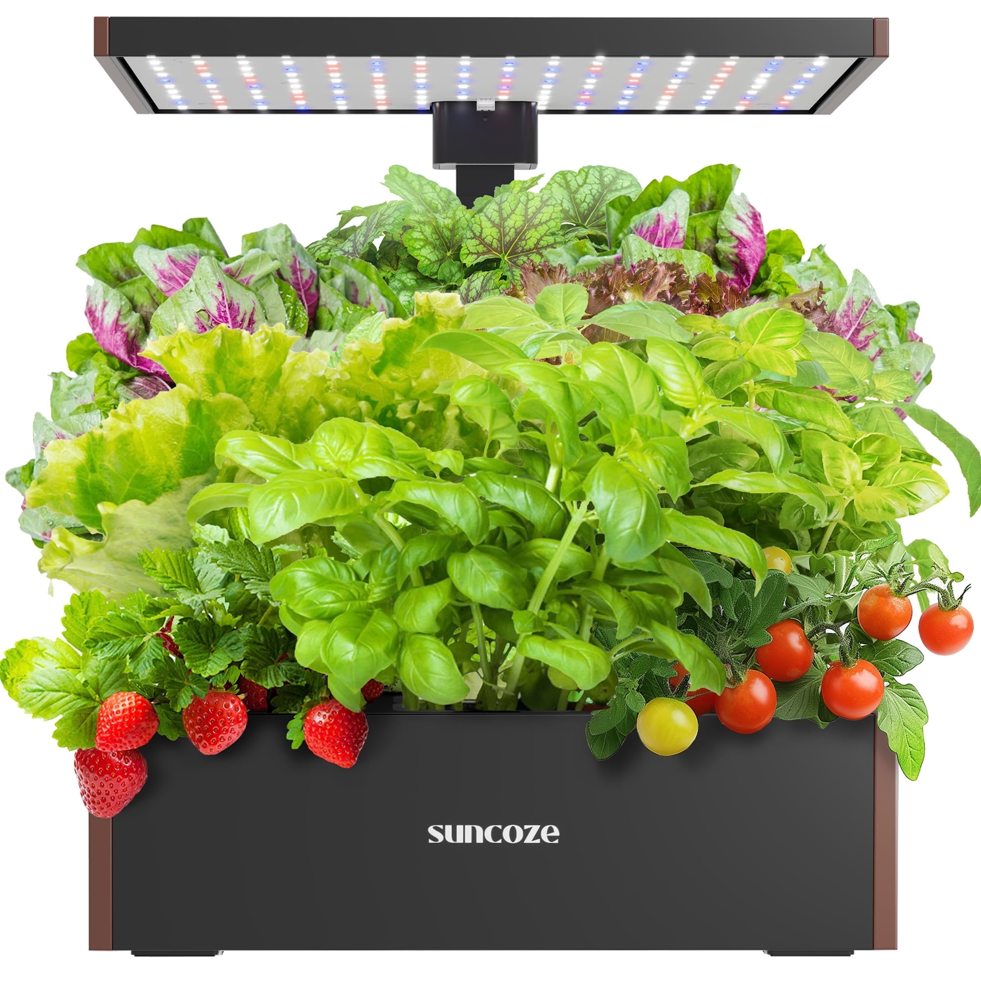 SUNCOZE 20 Pods Hydroponic Growing System Indoor Herb Garden with