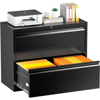 2 drawer on sale filing cabinet walmart