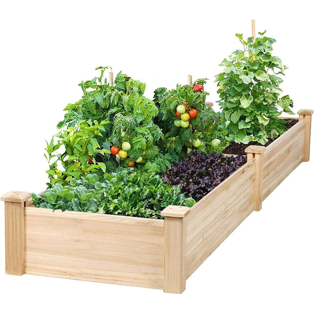 Natural Fir Wood 8-Foot Raised Garden Bed Planter Box