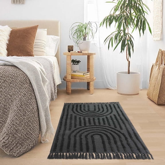 SUNDEREY Modern Rainbow Area Rug,3'x5' Washable Bedroom Rugs,Boho Woven Floor Carpet With Tassel, Modern Farmhouse Tufted Rug For Living Dining Room Kitchen Entryway Bathroom,Dark Grey