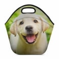 thumbnail image 1 of SUNENAT Neoprene Lunch Boxes Lunch Bag Tote Funny Labrador Retriever Puppy Dog Insulated Neoprene Gourmet Tote Cooler Warm Pouch 11.93" x 11.22" x 6.69", 1 of 2
