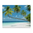 thumbnail image 1 of SUNENAT Summer Tropical Beach Ocean with Palm Tree Canvas Prints Painting Wall Art Wooden Frame Artwork for Home Decoration Wall Decor, 20 x 16 Inches, 1 of 4