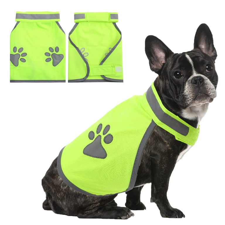 Dog hunting cheap harness
