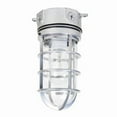 thumbnail image 1 of SUNLITE VT100 vaporproof wall mount fixture metalic finish with clear glass, 1 of 2