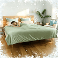 thumbnail image 1 of SUNNY HEAT Cooling Summer Comforter Twin Size 60"x80", Double-Sided Breathable Silk Summer Blanket for Hot Sleepers,Sage Green, 1 of 10