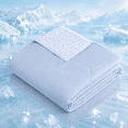 thumbnail image 1 of SUNNY HEAT Cooling Summer Comforter King Size 90"x108", Cooling Blanket for Hot Sleepers, Lightweight Breathable Double-Sided Quilt, Leopard Ice Blue, 1 of 10