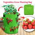 thumbnail image 1 of SUNNYOUTDOOR 10 Gallon Garden Strawberry Planter Strawberry Grow Bags Large Breathable Grow Bags for Fruits, Flower, Vegetables, Non-Woven Fabric Bag with Handles (5 Pack), 1 of 4