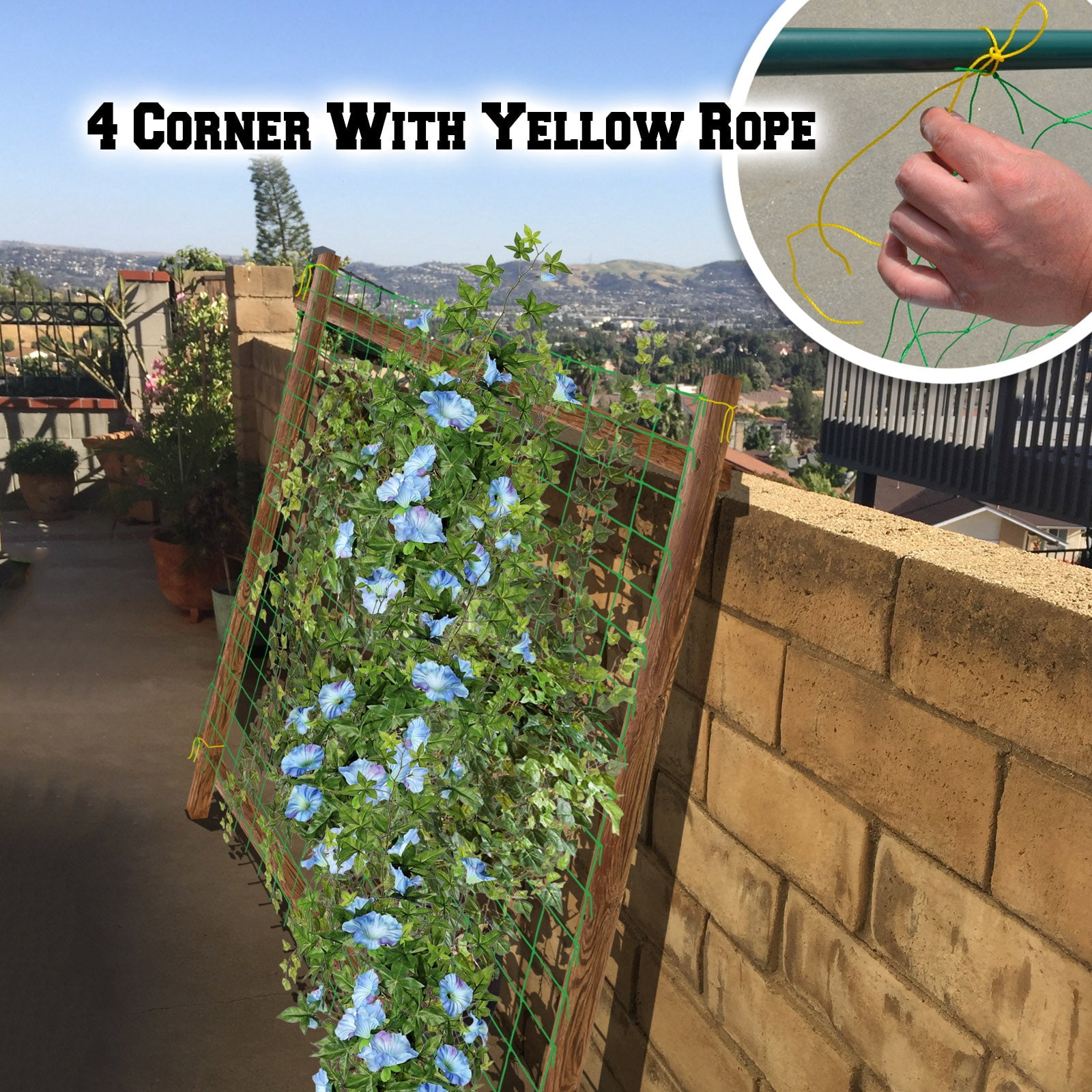 SUNNYOUTDOOR Trellis Netting Support Net for Plants Climbing Plants Grow Mesh Net (6'x3')