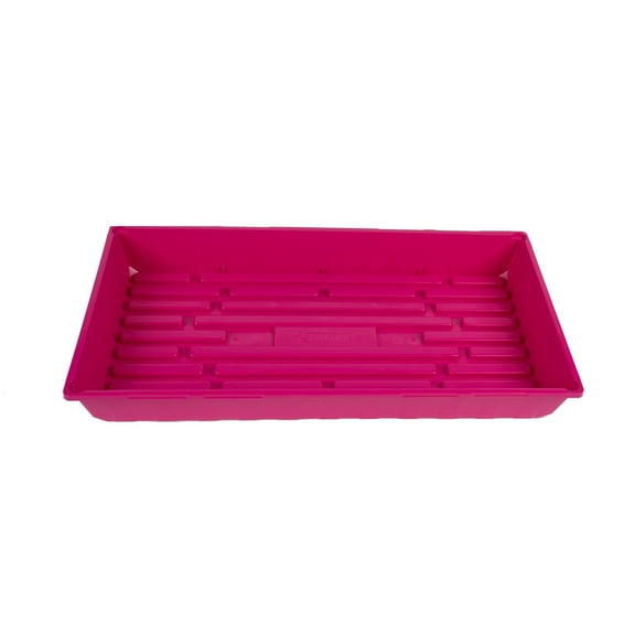 SUNPACK 10 x 20 Mega Plastic Seed Starting Tray, Magenta, 2.5 - No Drainage Holes, Ideal for Greenhouses or Indoor Gardening - Made of Thick, Strong Plastic