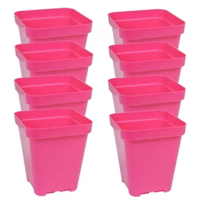 SUNPACK 5" x 5" Heavy Duty Seed Starting Square Insert Pot, Magenta, 6" (Pack of 8)
