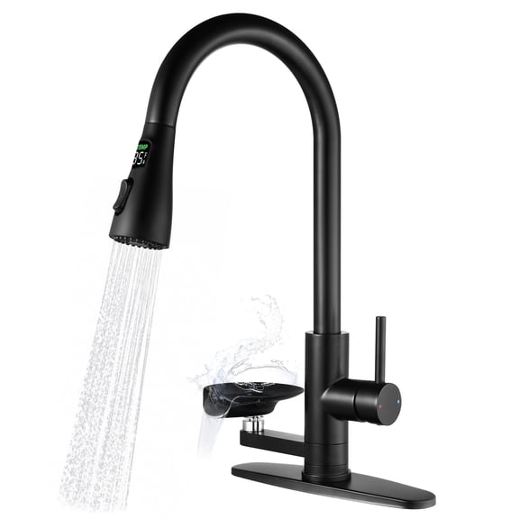 SUNRINX 3-in-1 Kitchen Faucet with Pull Down Sprayer and Cup Rinser, Matte Black