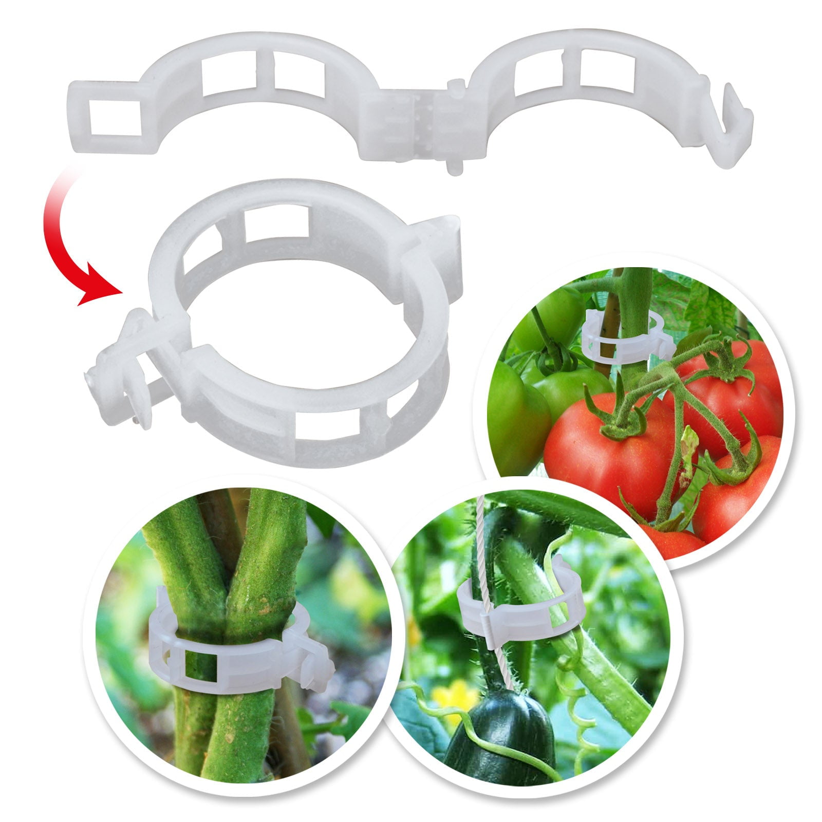 SUNRISEUMBRELLA Plant Fruit Support Garden Clips Tomato Trellis Clips Support Vine Vegetables Tomato to Grow Upright (White)1x0.75 inch