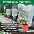 thumbnail image 1 of SUNRISEUMBRELLAWarm Worth Plant Cover Tree/Shrub Cover Plant Protecting &Frost Protection Bag (30” H x 26” Dia.), 1 of 4