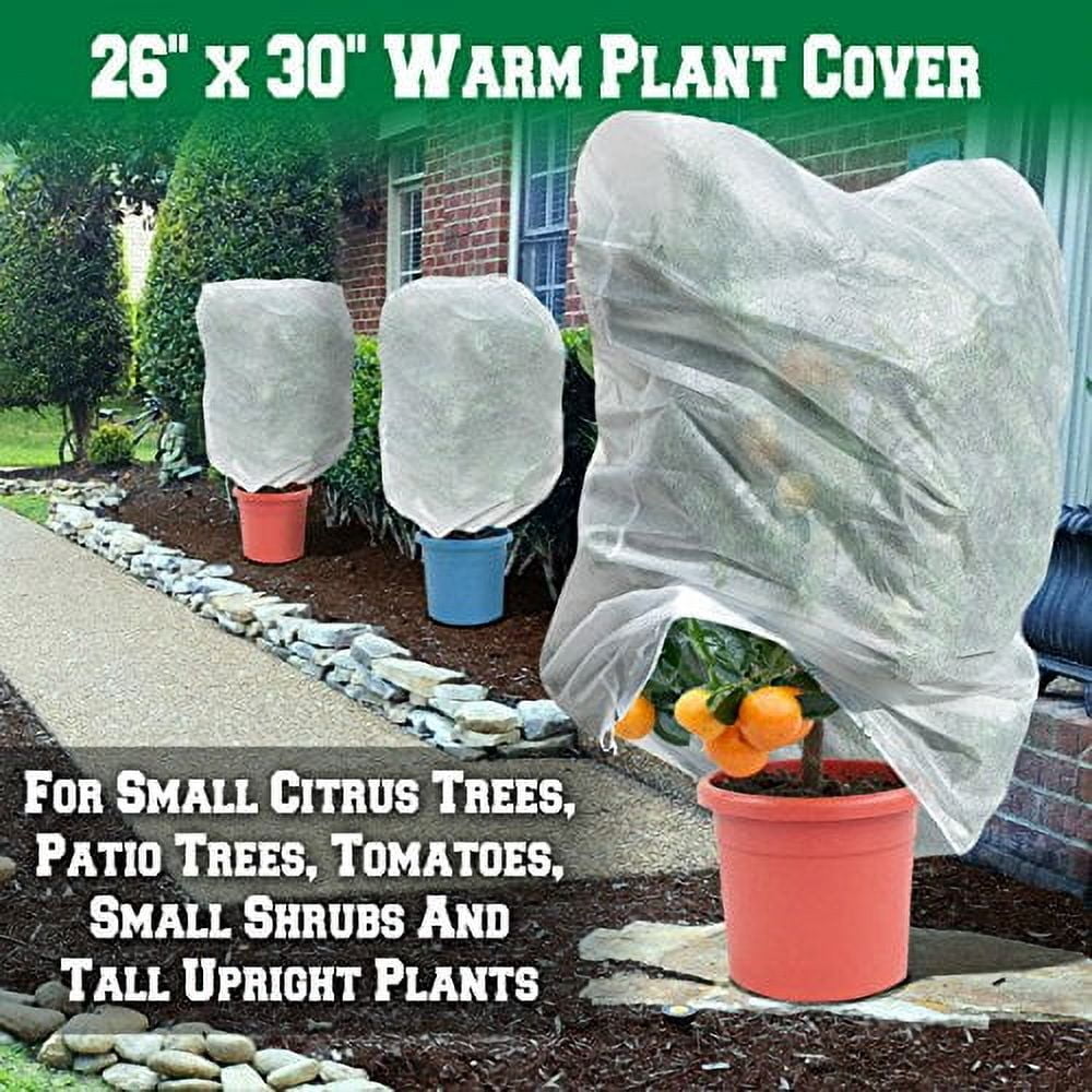 SUNRISEUMBRELLAWarm Worth Plant Cover Tree/Shrub Cover Plant Protecting &Frost Protection Bag (30” H x 26” Dia.)