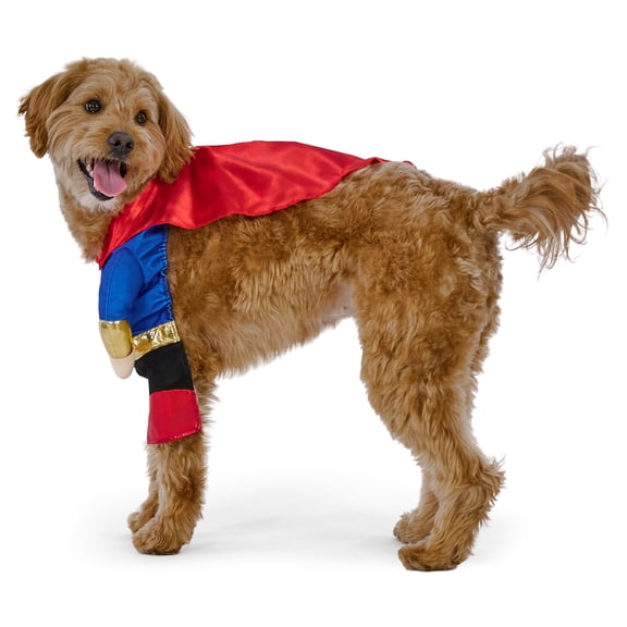 Vibrant Life Halloween Superhero Costume for Dogs, Multicolor, M