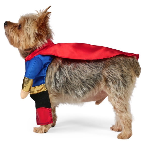 Vibrant Life Halloween Superhero Costume for Dogs and Cats, Multicolor, XS
