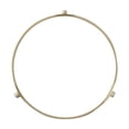 thumbnail image 1 of SUPPLYZ Direct Replacement for Whirlpool W10859927 Microwave Ring-Turn, 1 of 1