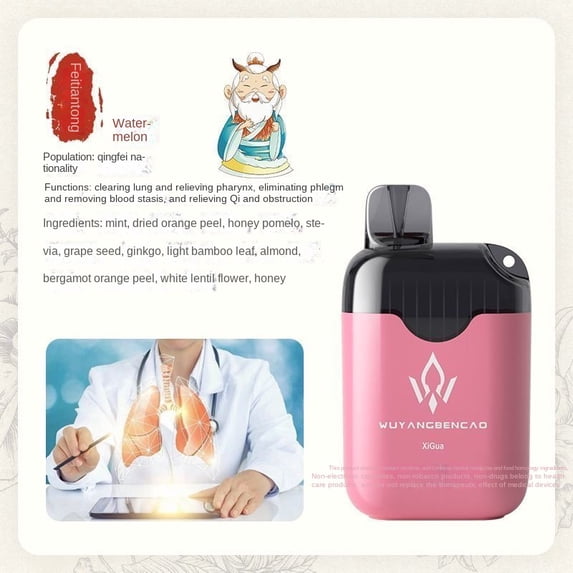 SUSAMMAISON Innovative Rechargeable Mist Nourishes Herbal Medicine, Mint, Fruit, Refreshes Throat, Soothes Mouth, Refreshes Brain, Refreshes Ventilator, Soothes Throat,As Picture
