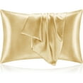 thumbnail image 1 of SUSIELADY Satin Pillowcases Queen Size Set of 2 Cooling Silk-Like Soft Pillow Covers with Hidden Zipper Envelope Closure for Men & Women, 20" x 30", Champagne, 1 of 6
