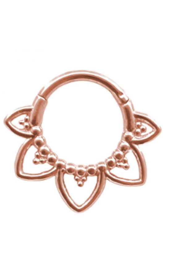 Titanium Micro Cubic Zirconia Hinged Nose Hoop Ring Body Jewelry Unisex