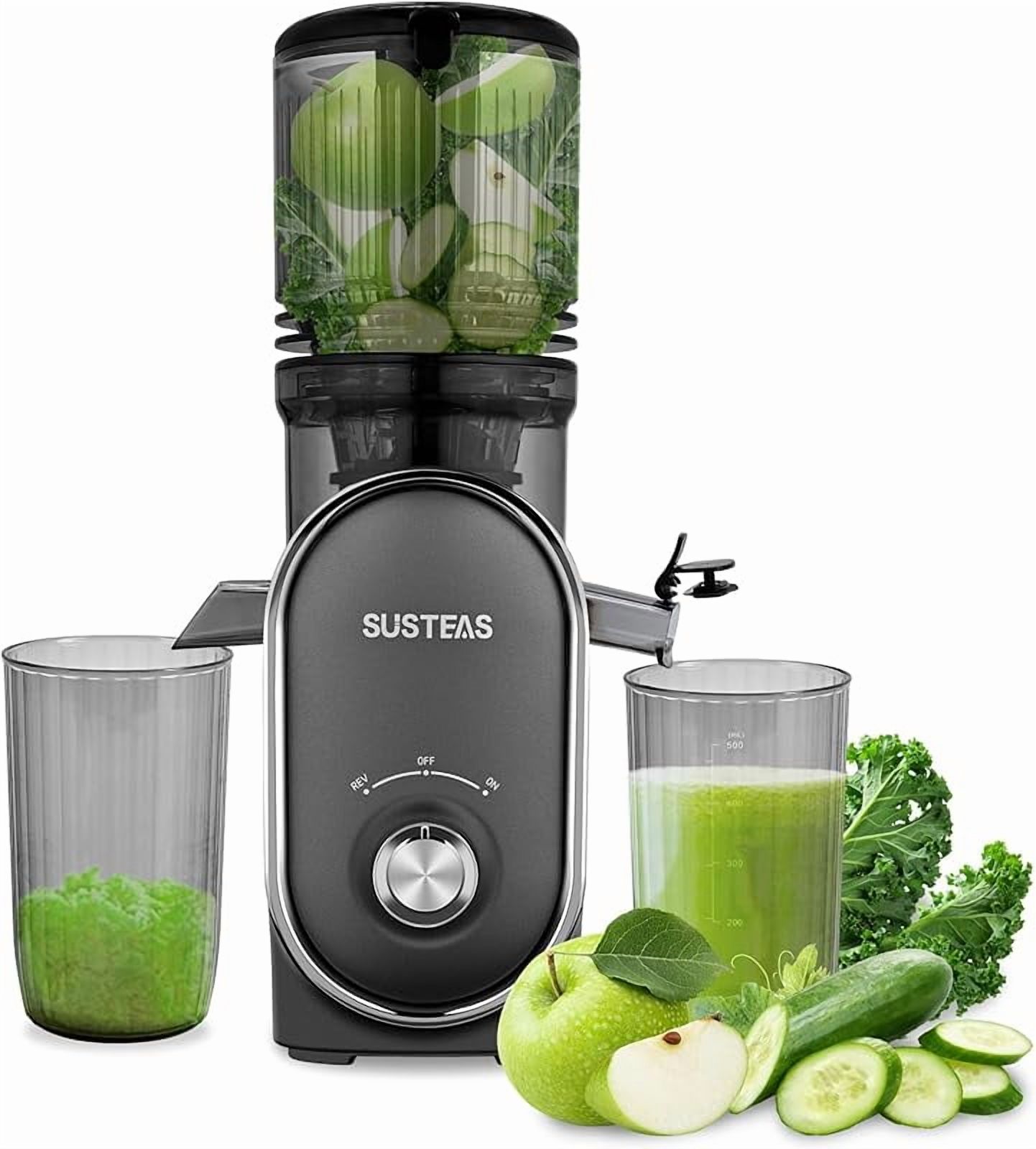 SUSTEAS Cold Press Juicer Machines, 5.3" Feed Chute(50oz Capacity), 300W Slow Masticating Juice Extractor for Whole Fruits and Vegetables, Automatic Feed, Easy to Clean, High Juice Yield,Silver gray