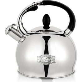 My new tea kettle! 🩷🖤🩶 #thatshot #parishilton #teakettle #lovesit