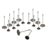SUSUCAR Fits 09-16 Chrysler 300 Aspen Dodge Charger Jeep Ram 5.7 Intake Exhaust Valves