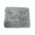 thumbnail image 1 of SUSUZI 5'x7' Fluffy Plush Area Rug, Soft Shaggy Carpet for Living Room Bedroom Home Decor, Gray, 1 of 8