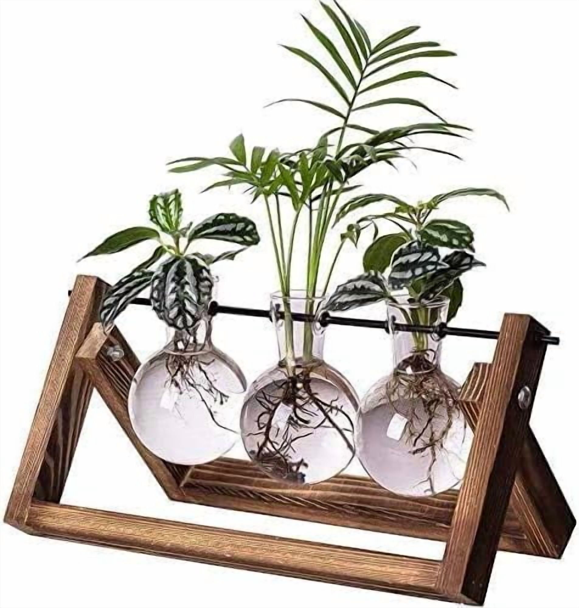 SUSWIM Plant Propagation Station, Plant Terrarium with Wooden Stand, Unique Gardening Birthday Gifts for Women Plant Lovers, Home Office Garden Decor Planter - 